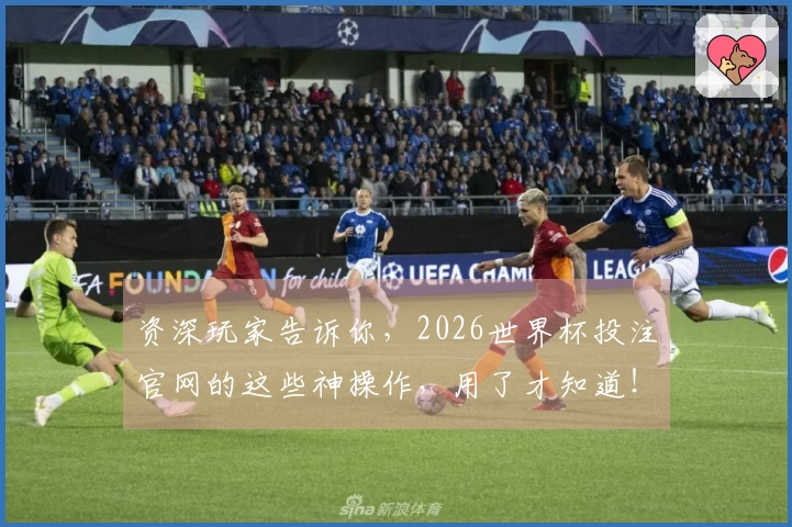 资深玩家告诉你，2026世界杯投注官网的这些神操作，用了才知道！