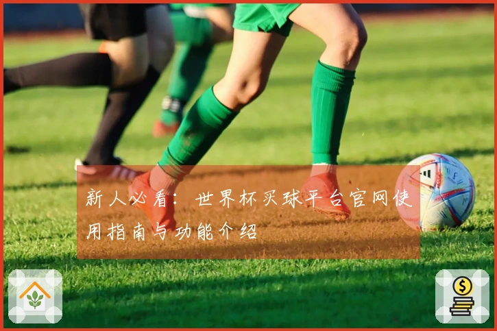 新人必看：世界杯买球平台官网使用指南与功能介绍