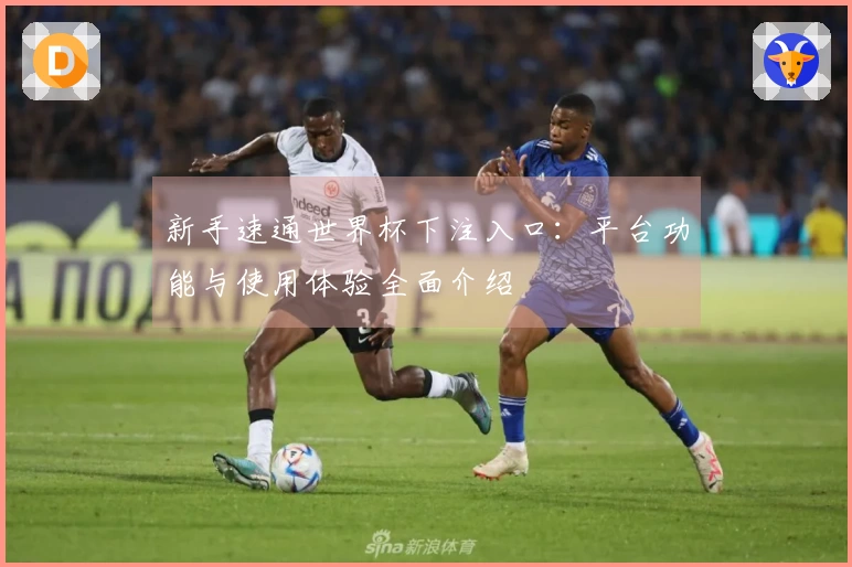 新手速通世界杯下注入口：平台功能与使用体验全面介绍