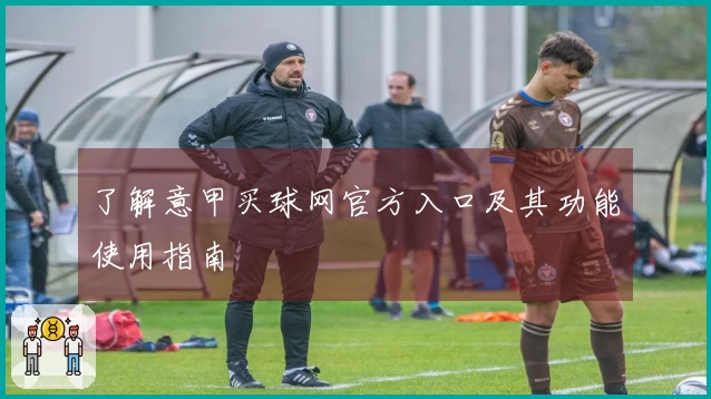 了解意甲买球网官方入口及其功能使用指南