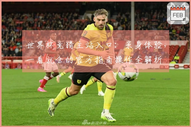 世界杯竞猜主站入口：亲身体验，一看就会的官方指南操作全解析
