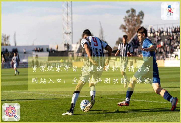 资深玩家带你走进世界杯竞猜官方网站入口，全方位评测功能与体验