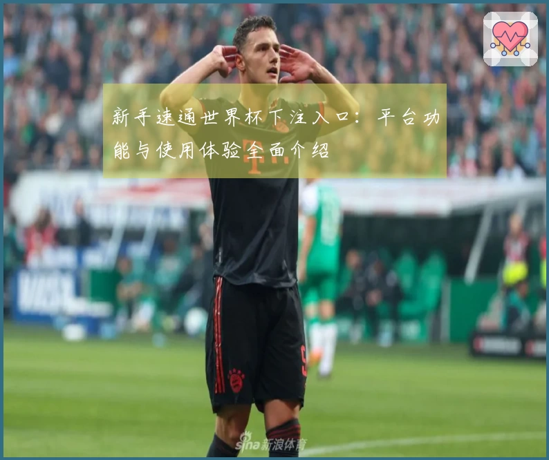 新手速通世界杯下注入口：平台功能与使用体验全面介绍