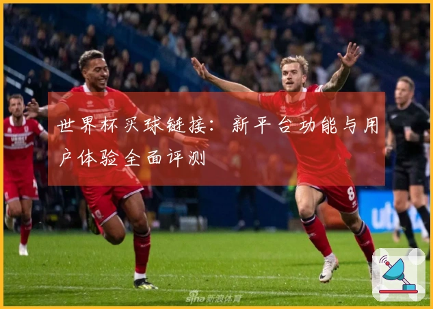 世界杯买球链接：新平台功能与用户体验全面评测