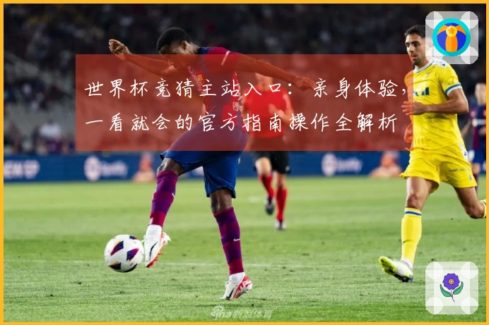 世界杯竞猜主站入口：亲身体验，一看就会的官方指南操作全解析
