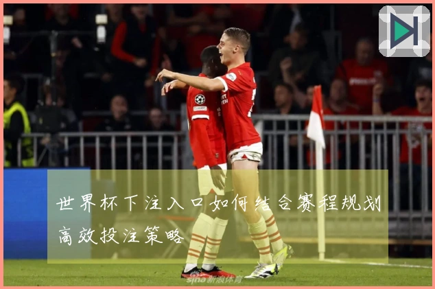 世界杯下注入口如何结合赛程规划高效投注策略