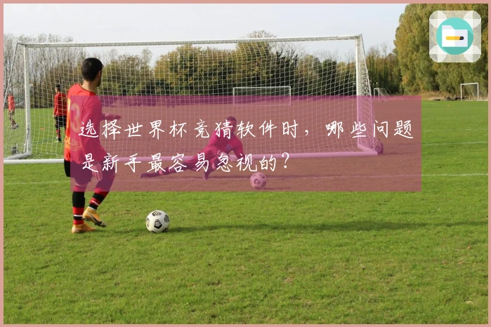 选择世界杯竞猜软件时，哪些问题是新手最容易忽视的？