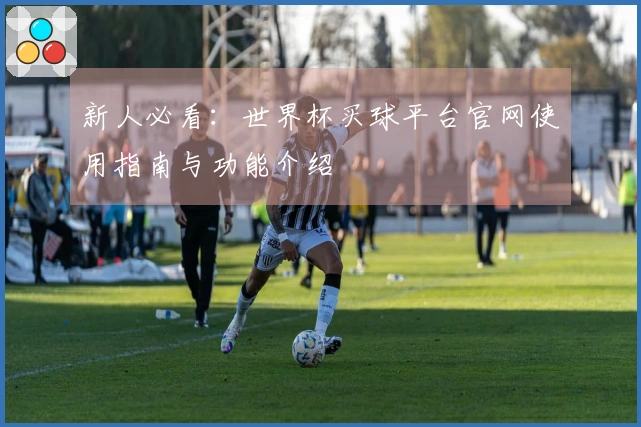 新人必看：世界杯买球平台官网使用指南与功能介绍